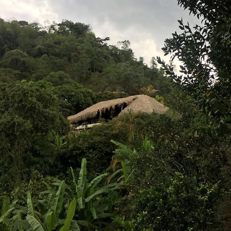 Hotel Green Ecologico La Vega  Bagian luar foto