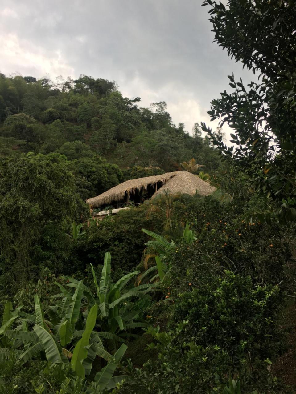 Hotel Green Ecologico La Vega  Bagian luar foto