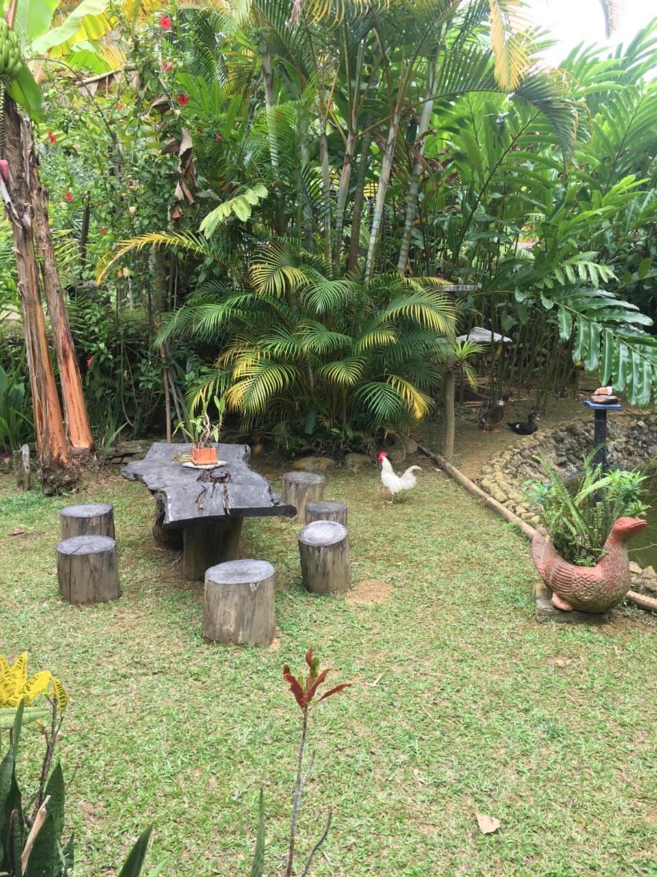Hotel Green Ecologico La Vega  Bagian luar foto