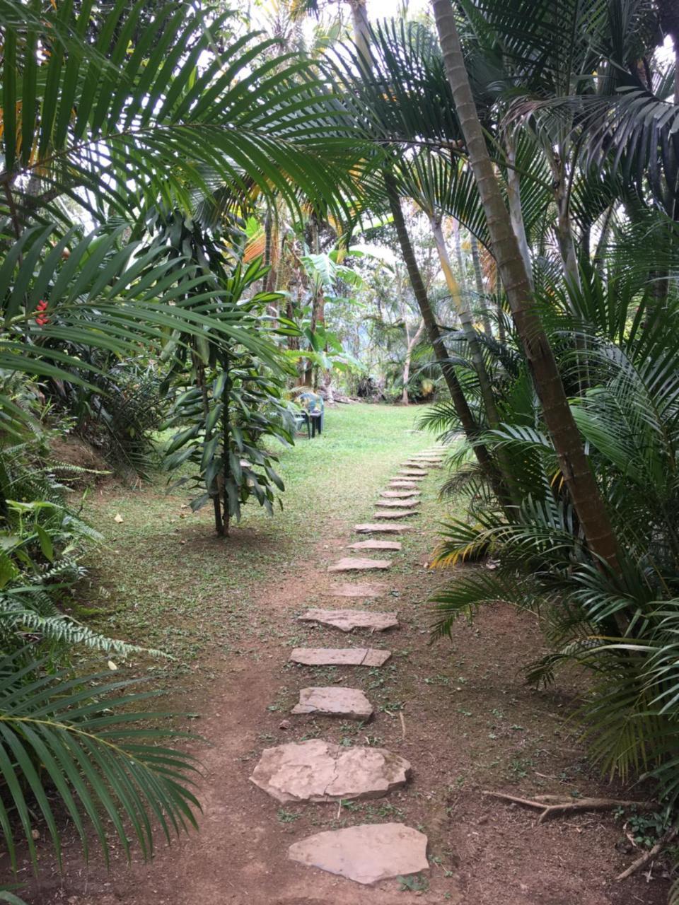 Hotel Green Ecologico La Vega  Bagian luar foto