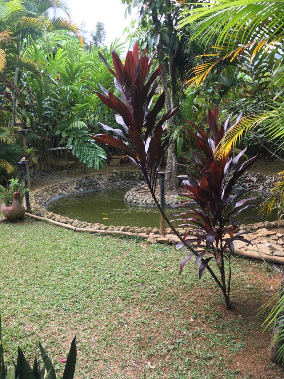 Hotel Green Ecologico La Vega  Bagian luar foto
